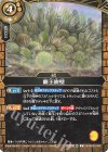26RBS02-083 C 覇王樹壁