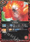 26RSD09-006 C トゥカモル