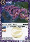  BS40-016 C ヒャクメボア 