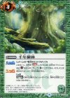  BS40-071 C 千年樹林 