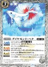  BS53-037 C ダイヤモンド・ベタ 