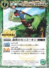 BS55-RV003 C 森林のセッコーキジ