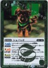  BS63-036 R シェパッド 