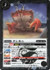  BS64-031 R タシカニ 