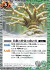  BS76-073 C 白銀の賢者の樹の実 