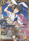  BSC31-X06 X [夏休み]トリックスター 