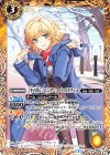 BSC33-041 C [冬の装い]ペンタンコートのラクェル