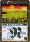 BSC49-080 R 明星きらめく花園LT