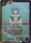  CB21-X06 X 綾波レイ -ポカポカする- 