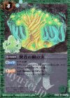  BS06-081 C 賢者の樹の実(PB01収録/2019年度版) 