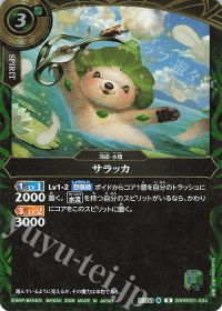 サラッカ