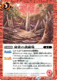 秘密の訓練場