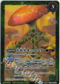 ユム・カアシュの粘菌神殿｜大茸人オニナラダ