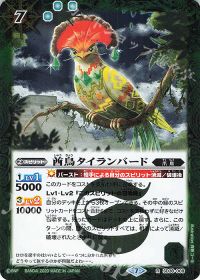 酋鳥タイランバード