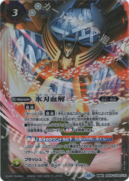 bsc41.jpg