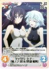 IS-066 U タッグパートナー「篠ノ之 箒」&「更識 楯無」