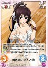 IS-102 R 剣道少女「篠ノ之箒」 
