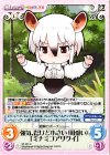  KF-031 C 強気、だけど小さい(可愛い)「ミナミコアリクイ」 