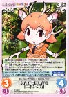  KF-036 C なんでもほしがる「ニホンジカ」 