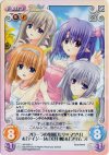  NV-039 U フローラの楽園「ルリ＝マツリ」＆「デイジー」＆「芙蓉楓」＆「プリムラ」 