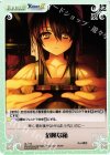 AL-T13 T 危険な箱