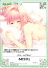 NV-361 R 不摂生な主