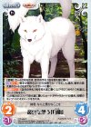  YZ-346 R 叢雲を想う「白狛」 