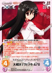 RR大和撫子「佐々木 志乃」