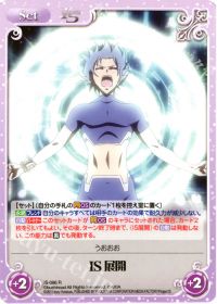 RIS展開