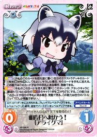 明後日へ向かう!「アライグマ」