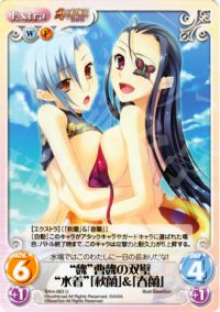 "魏"曹魏の双璧"水着"「秋蘭」&「春蘭」
