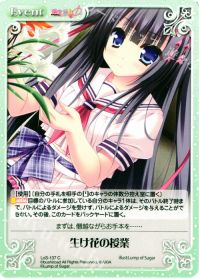 生け花の授業