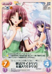 快活「サイネリア」&箱入り「ネリネ」