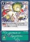  BT5-100 C ロイヤルナッツ 