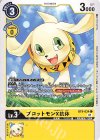  BT9-034 C プロットモンX抗体 