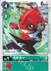  BT9-048 C イガモン 