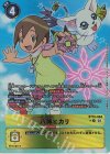  BT15-084 P-R 八神ヒカリ(パラレル) 