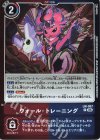  LM-057 P ウォール・トレーニング 