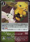 LM-059 P ヒート・トレーニング