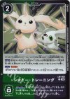 LM-060 P シャドー・トレーニング