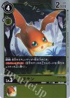  P-005 P パタモン 