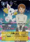  P-127 P 八神ヒカリ(パラレル/02 THE BEGINNINGセット） 