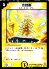  42/110 U 光柱樹 