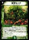 53/55 C 食獣セニア