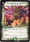 52/55 C シャムシャム・カブキリ