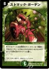  34/55 U ストマック・ガーデン 