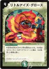 55/55/Y5 C リトルアイズ・グロース