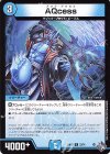 33/74 U AQcess