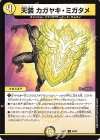  66/84 C 天装 カガヤキ・ミガタメ 