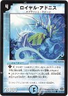  82/110/Y6 C ロイヤル・アドニス 